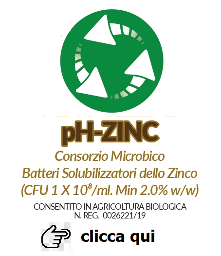 logo pH-ZINC