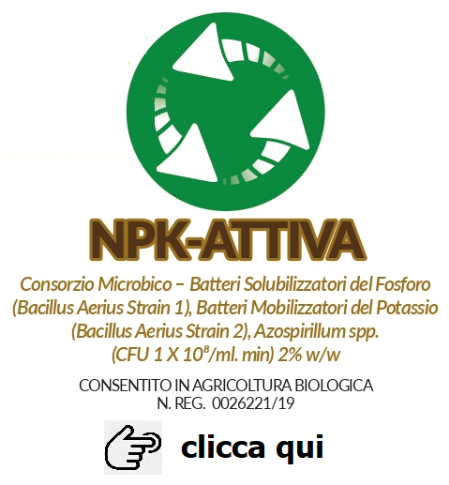 logo NPK-ATTIVA