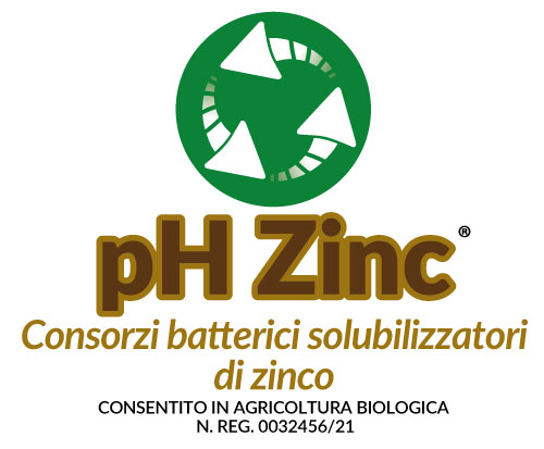 logo pH-ZINC