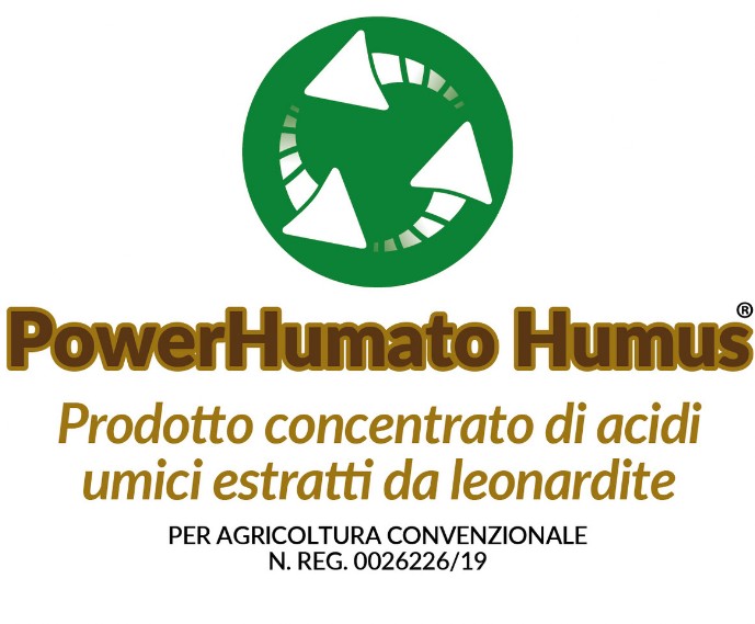 logo pH-ZINC